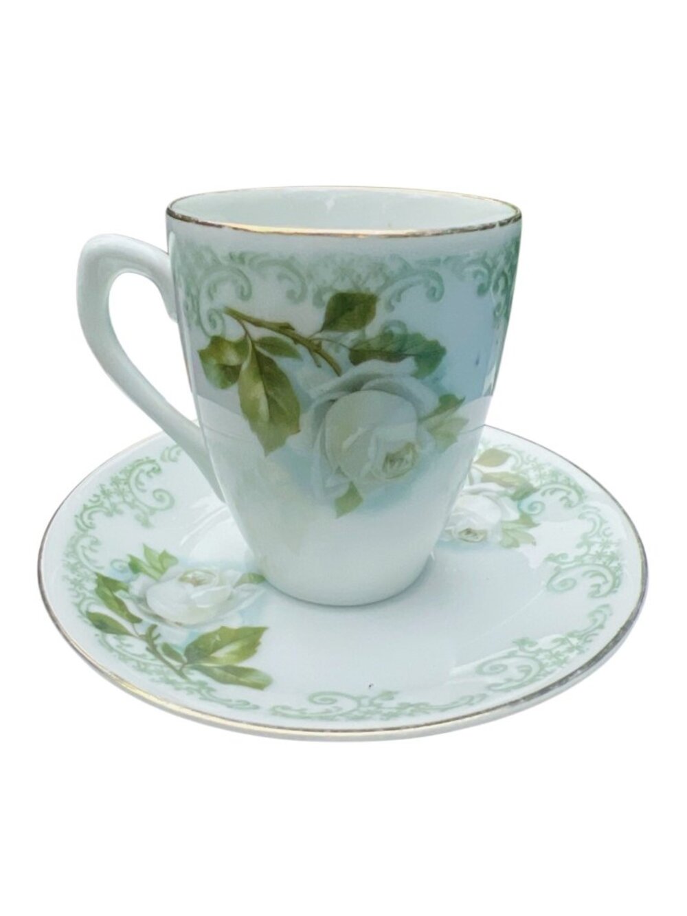 Z.S. & Co. Bavaria Porcelain Demitasse Cup & Saucer With Green Floral Design And
